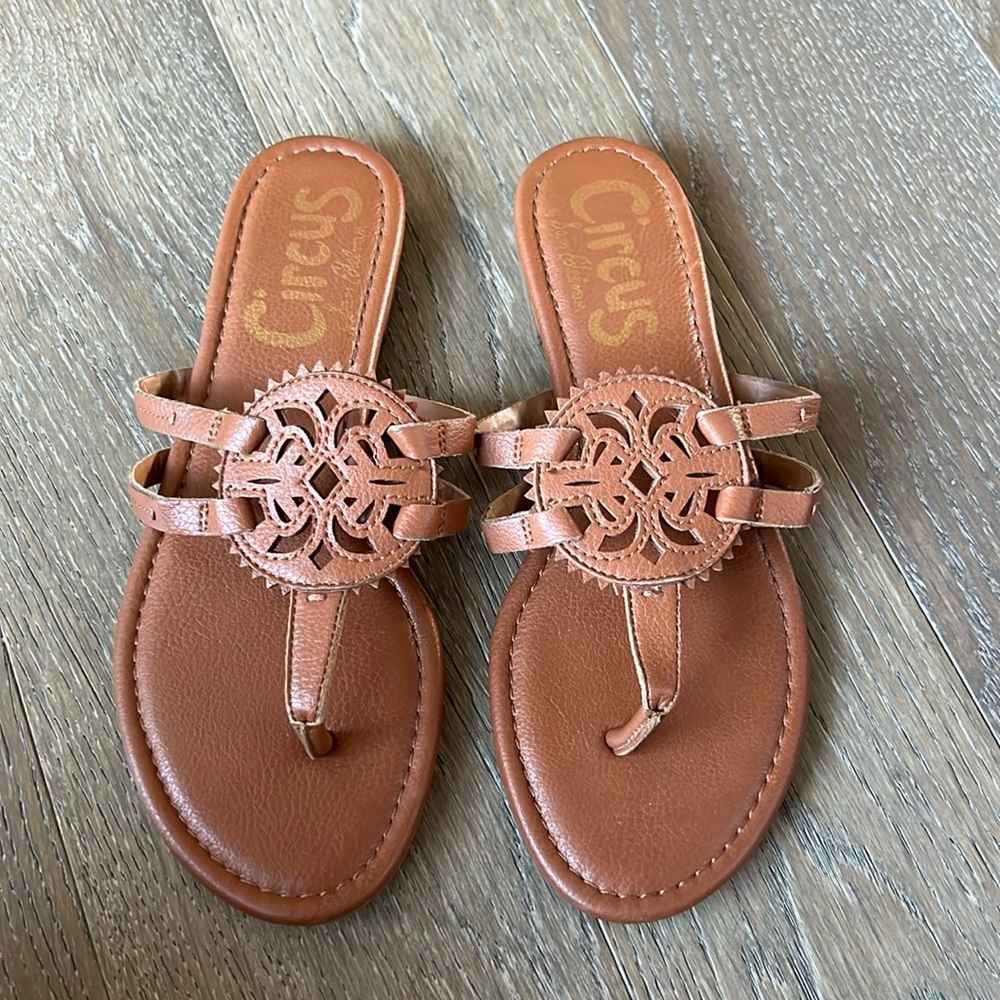 Circus by Sam Edelman Women's Canyon Thong Sandal